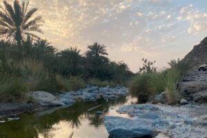 Wadi Al Abadilah