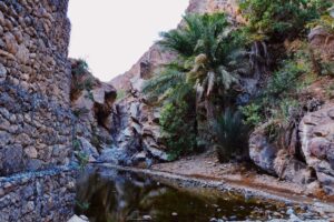 Wadi Shees