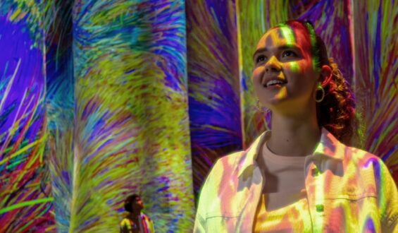 teamLab Phenomena Has Finally Opened in Abu Dhabi: Discover the City’s Newest Immersive Attraction
